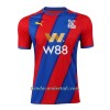 Camiseta de fútbol Crystal Palace Primera Equipación 2021/22 - Hombre